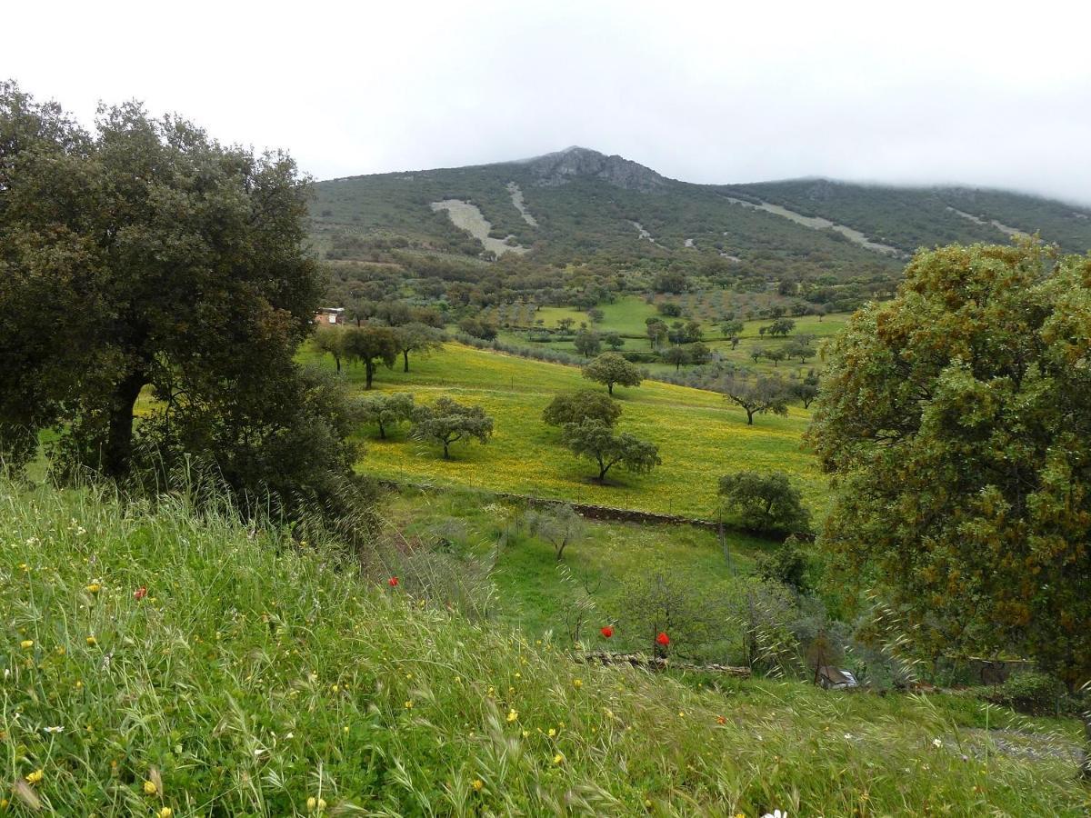 Casa Rural La Colmena Del Geoparque Navatrasierra Екстер'єр фото