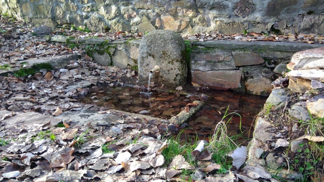 Casa Rural La Colmena Del Geoparque Navatrasierra Екстер'єр фото