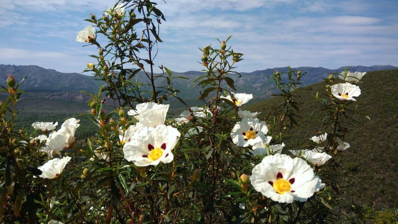 Casa Rural La Colmena Del Geoparque Navatrasierra Екстер'єр фото